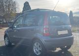Fiat Panda 1.2 8V Dynamic,Schiebedach,Klima, Euro 5 - gebrauchte Fiat Panda aus dem Jahr 2010