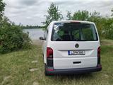 Volkswagen T6 Transporter - Volkswagen: Kombi, Transporter