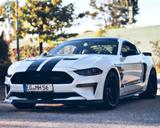 Ford Mustang 5.0 Ti-VCT V8 Bullitt Bullitt - Ford Mustang: Bullit
