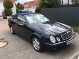 Mercedes-Benz CLK 230 KOMPRESSOR ELEGANCE Elegance - Mercedes-Benz CLK 230: Elegance
