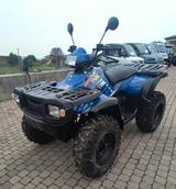 Andere QUAD POLARIS SPORTSMAN 500 - BENZIN QUAD AUTOMATIK