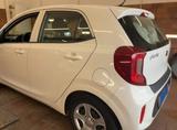 Kia Picanto Edition 7 - Kia Picanto Gebrauchtwagen in Essen