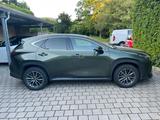 Lexus NX 350h 350h Business Line Business Line - gebrauchte Lexus NX 350h aus dem Jahr 2024
