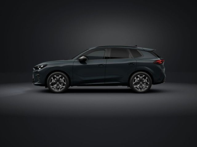 Cupra Terramar - Bild 2