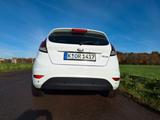 Ford Fiesta 1,5 TDCi  Frozen White - Ford Fiesta: Fr