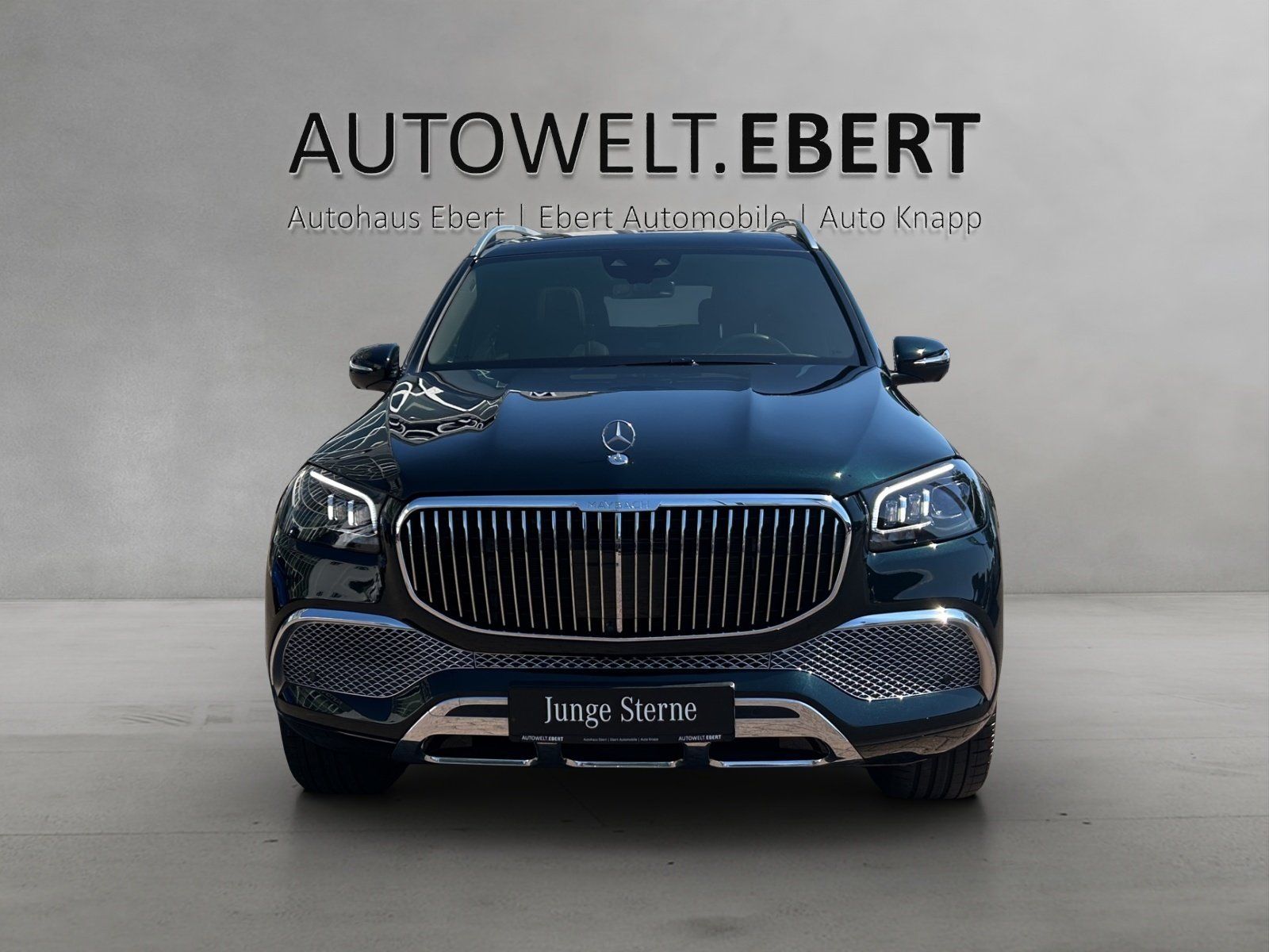 Fahrzeugabbildung Mercedes-Benz Mercedes-Benz GLS 600 Maybach VOLL! First Class