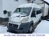 Fiat Ducato - Fiat Ducato: 9 Sitzer