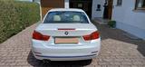 BMW 428i Cabrio Sport Line Automatik  - BMW 428: 428i