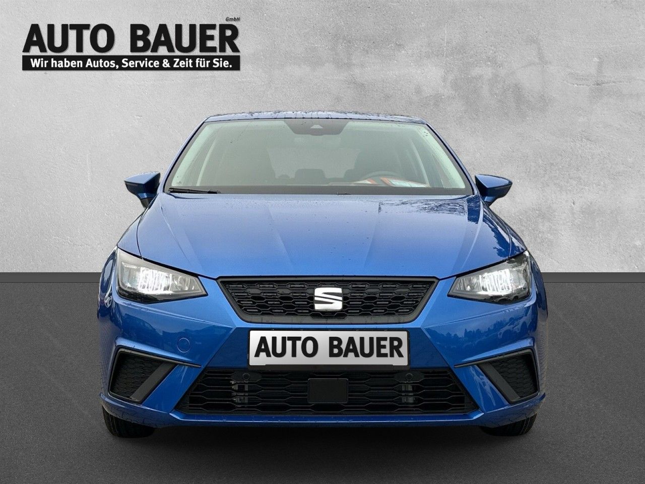 Fahrzeugabbildung SEAT Ibiza Road Edition 1.0 TSI 116 PS DSG