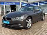 BMW 320d Limousine Head-Up Display - BMW 320: Braun, Leder