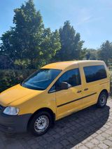 Volkswagen VW Caddy, Transporter, LKW Zulassung - Transporter lkw gebraucht