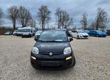 Fiat Panda More * Klima * Tüv  11 /  2026 * 1.Hd * - Fiat Panda Gebrauchtwagen in Nürnberg