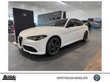 Alfa Romeo Giulia 2.0 Turbo 16V AT8-Q4 Veloce (952) - Alfa Romeo Giulia Tageszulassungen