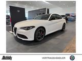 Alfa Romeo Giulia 2.0 Turbo 16V AT8-Q4 Veloce (952) - Alfa Romeo Giulia Tageszulassungen