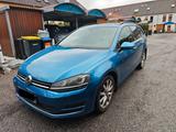 Volkswagen Golf 7 1.4 TSI Highline Panorama Dach - mit Benzin-Antrieb: Kombi, Panorama Dach