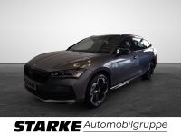 Skoda Superb - Vorschau Bild 2