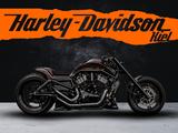 Harley-Davidson VRSDCX Night Rod Special - 300er - AIRRIDE - - HARLEY-DAVIDSON 300