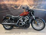 Harley-Davidson RH975S NIGHTSTER SPECIAL Tageszulassung - HARLEY-DAVIDSON NIGHTSTER SPECIAL
