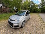 Fiat New Panda 1.2 8V MY PANDA MY PANDA | KLIMA - Fiat New Panda in München