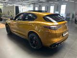 Alfa Romeo Stelvio Quadrifoglio QV 2.9l V6 Ocra Lipari - Alfa Romeo: Quadrifoglio