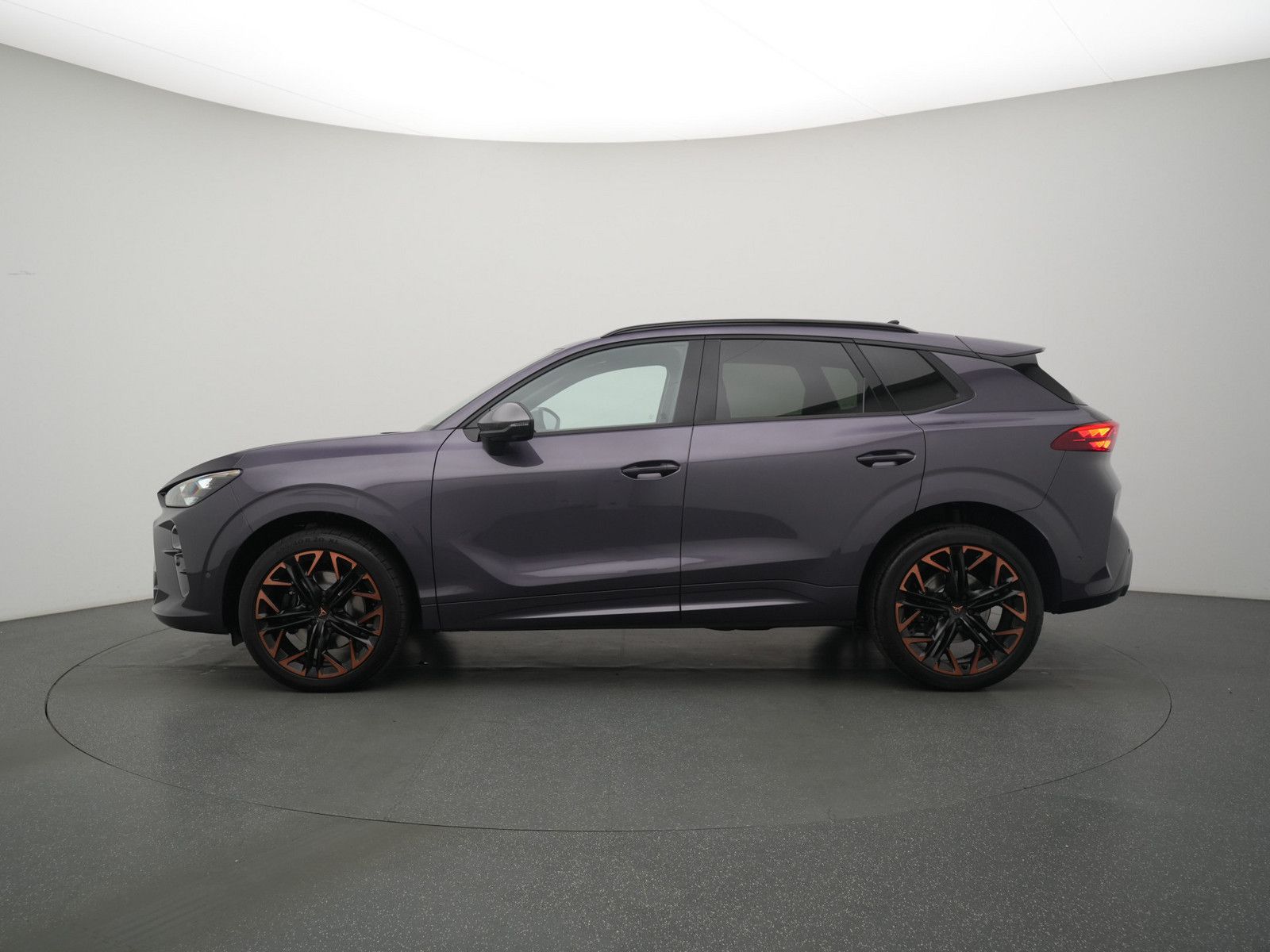 Cupra Terramar - Bild 24