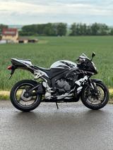 Honda CBR 600rr PC40 - Offers matching your search criteria