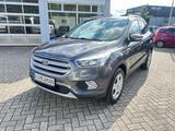 Ford Kuga Trend - Ford Kuga in Osnabrück