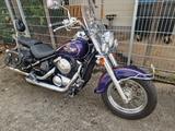 Kawasaki VN 800 Classic Luxus Ausstattung Silvertail  - KAWASAKI VN 800A