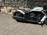 Harley-Davidson Night VR1 Night Rod  Ricks Umbau im Breitreifen  - Offers matching your search criteria