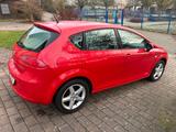 Seat Leon Reference Copa Ecomotive "SHZ, Klimaautom." - Seat Leon: Copa