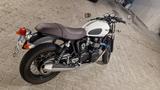 Triumph Thruxton Ace Café Racer - CAFE RACER