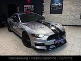Ford Mustang 2.3 EcoBoost / Shelby Style / LED / NAVI - Ford Mustang: Shelby