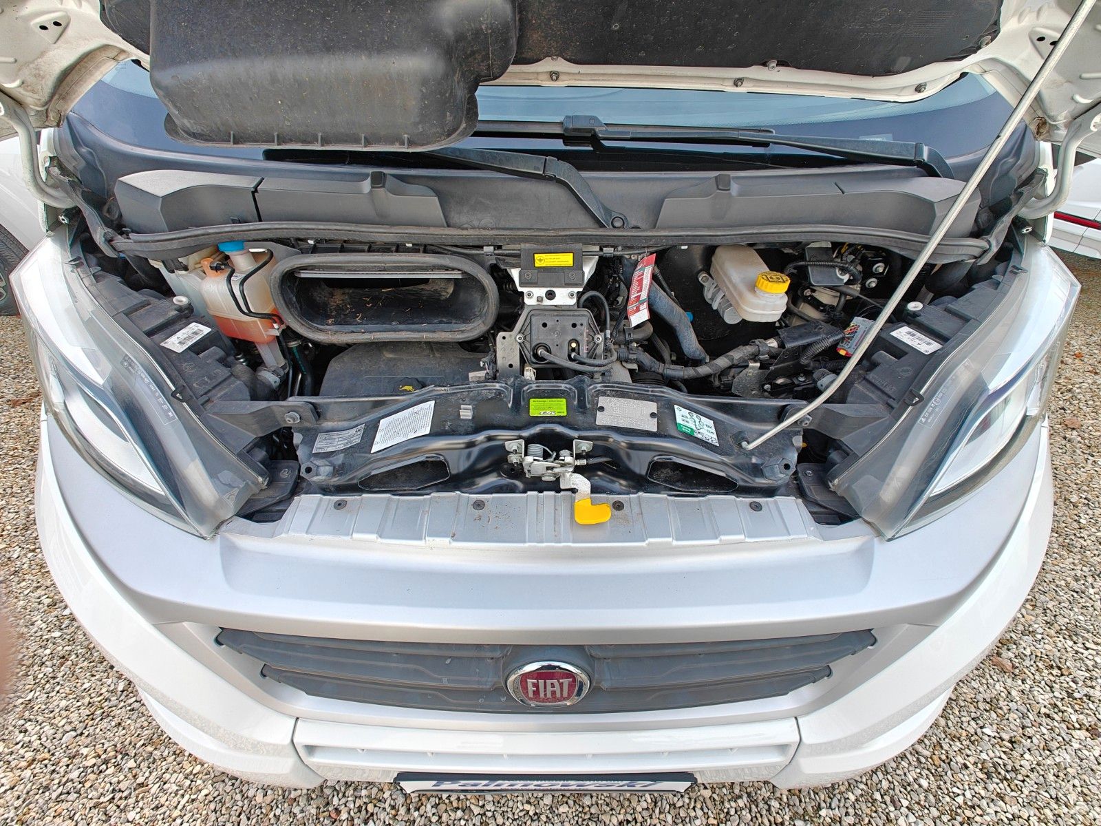 Fahrzeugabbildung XGO Dynamic 95 P - Autom. SAT, TV, Einzelbetten -