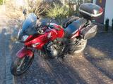 Honda Gepflegte Honda CBF 600 mit ABS (PC43) - HONDA CBF 600 PC43