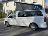 Mercedes-Benz V 250 Marco Polo Activity Edition Junger Stern - Mercedes-Benz V-Class: Marco