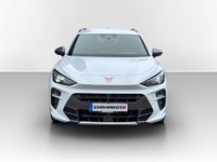 Cupra Terramar - Vorschau Bild 2