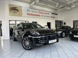 Porsche Macan GTS *Pano*Approved*Kamera* - Porsche Macan in Hamm