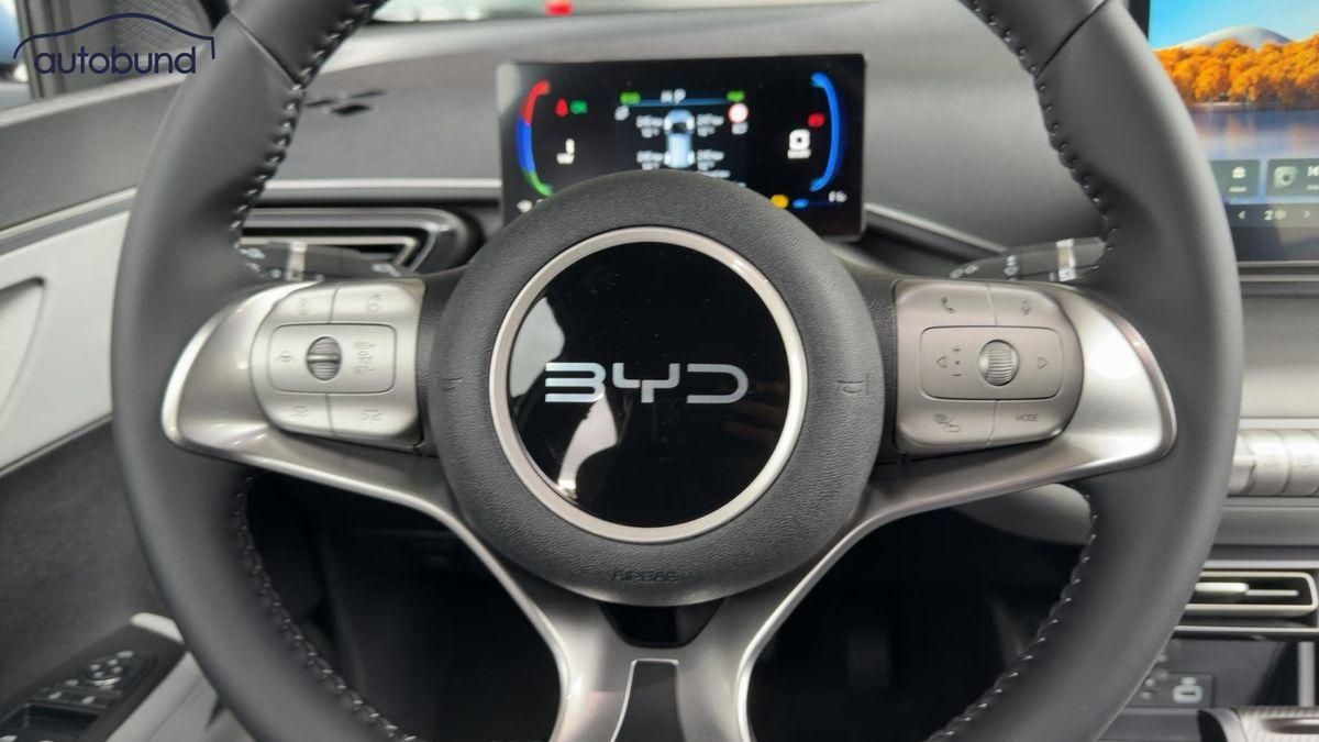 BYD DOLPHIN SURF