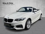 BMW 220 I A Sportpaket Navi LED Blendfreies Fernl. D - BMW 2er-Reihe F22 mit Benzin-Antrieb
