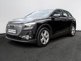 Audi Q4 e-tron 35 e-tron 125 kW Pano Standh. Virtual - Audi: V12