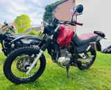 Suzuki Scrambler Freewind 650 Video Link beim Text !  - SUZUKI FREEWIND