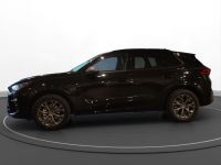 Cupra Terramar - Vorschau Bild 6