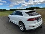 Audi Q8 45 TDI quattro tiptronic - - weiße Audi Q8