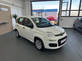 Fiat Panda Pop 1.2 8V - Fiat Panda: 1.1