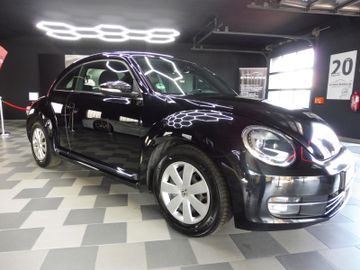 Volkswagen Beetle - 4