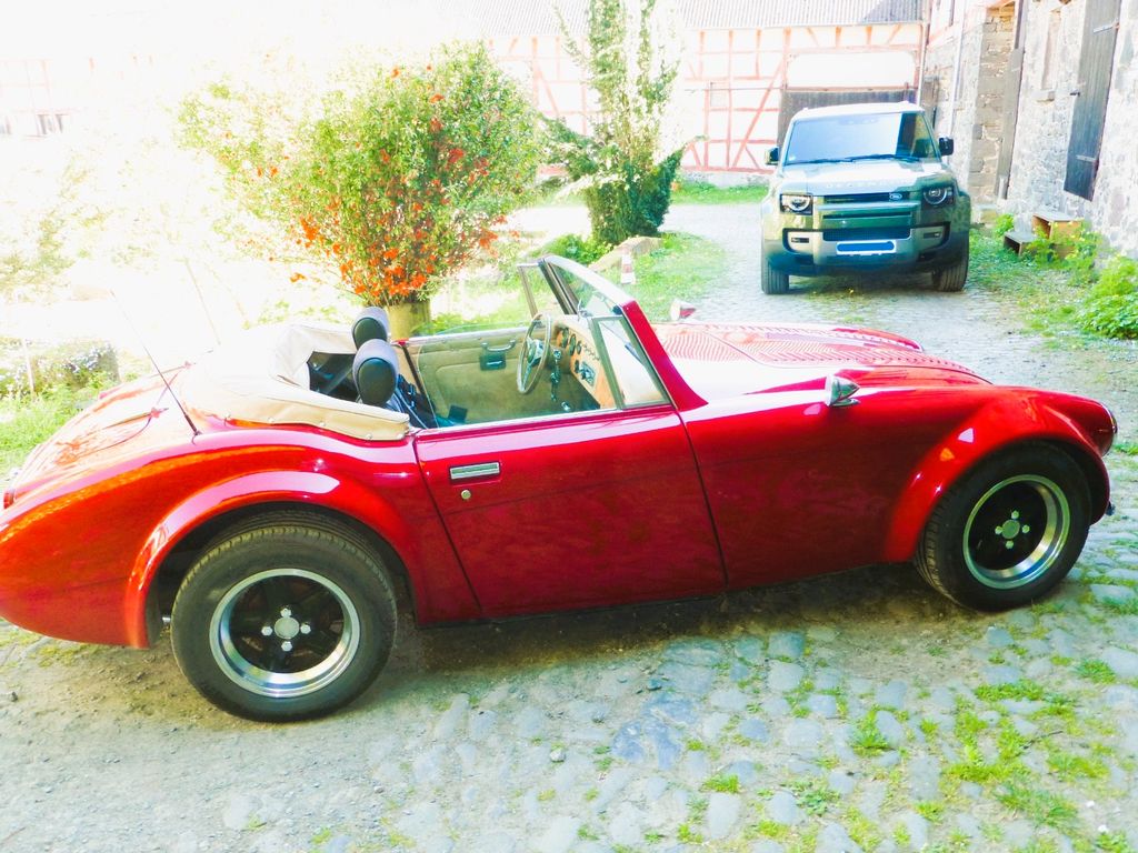 Austin Healey Andere