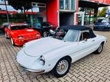 Alfa Romeo Spider 1750 Duetto - Technik neu- H-Kz. - gebrauchte Alfa Romeo Spider aus dem Jahr 1969