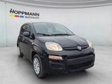 Fiat Panda Pop 1.0*KLIMA*PDC*RADIO*BLUETOOTH* - Fiat Panda: Pop