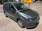 Volkswagen Caddy - inkl. Mwst LKW Zulassung - Volkswagen Caddy: Lkw Zulassung