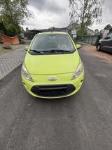 Ford Ka/Ka+ 1,2 Trend Trend - Ford Ka/Ka+ in Kiel